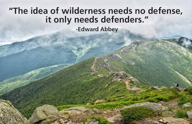 Wilderness needs defense